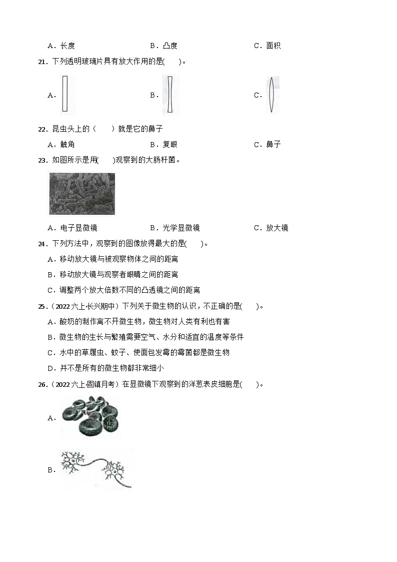 【阶段测试】教科版(2017)科学六年级上册--第一单元测试卷(学生版)第2页