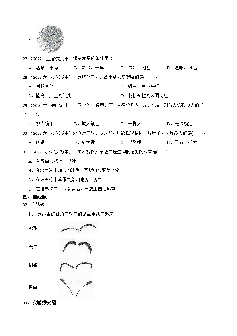 【阶段测试】教科版(2017)科学六年级上册--第一单元测试卷(学生版)第3页