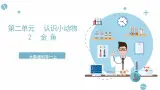 大象版科学一上 2.2 《金鱼》 （课件+教案+视频）
