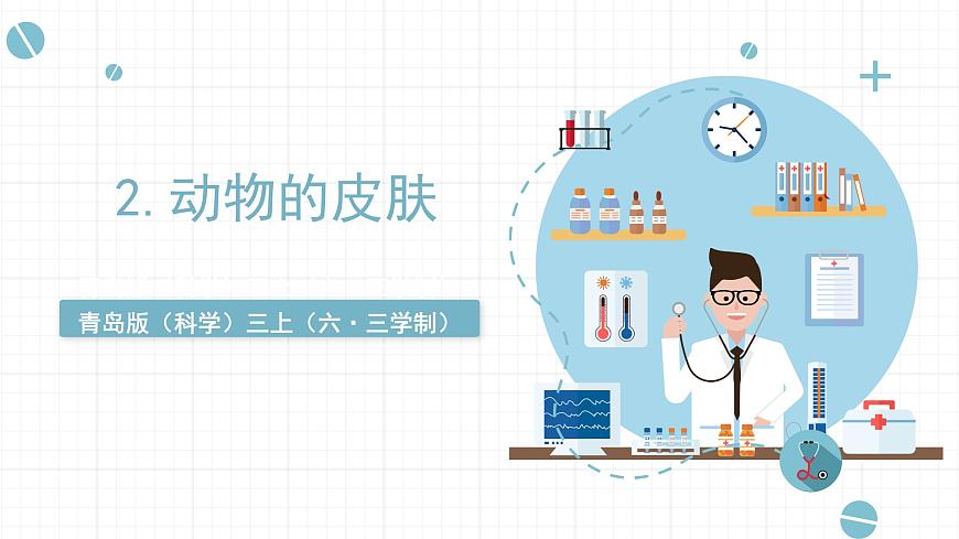 青島六三制科學(xué)三年級(jí)上 2.《動(dòng)物的皮膚》教學(xué)課件第1頁(yè)