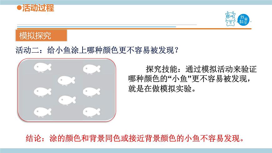 青島六三制科學(xué)三年級(jí)上 2.《動(dòng)物的皮膚》教學(xué)課件第8頁(yè)