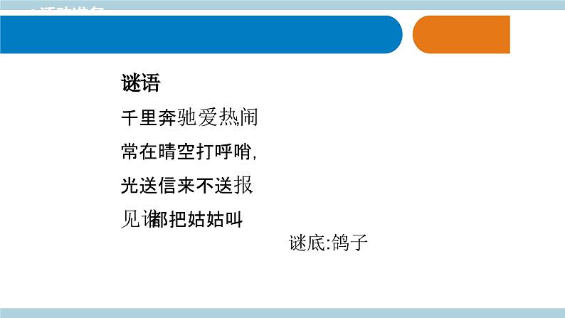 青岛版《科学》六制三年级上册3.《动物的翅膀》课件PPT+教案02