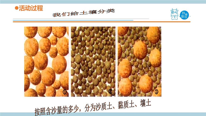 青島六三制科學三年級上 10.《土壤的種類》教學課件第5頁