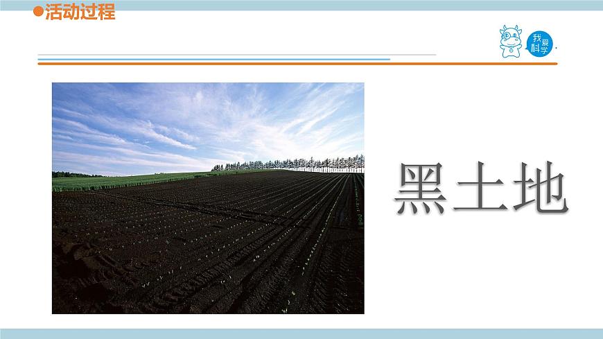 青島六三制科學三年級上 10.《土壤的種類》教學課件第8頁