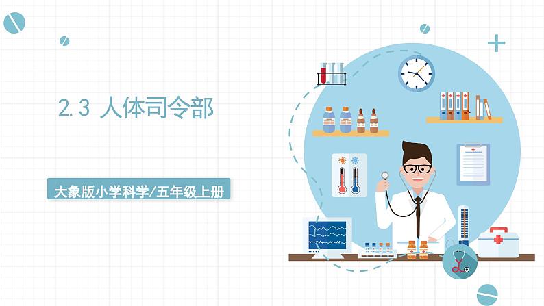 新大象版五年级上册科学2.3 《人体司令部》 课件+课件练习+素材01
