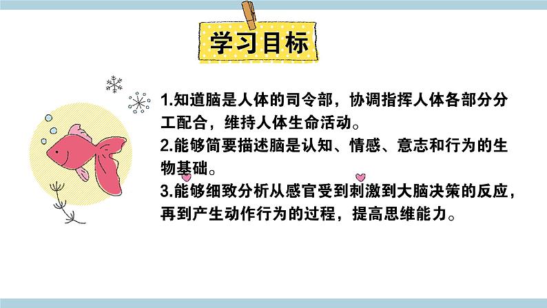 新大象版五年级上册科学2.3 《人体司令部》 课件+课件练习+素材02