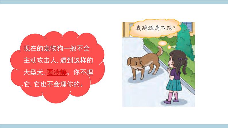 新大象版五年级上册科学3.4《我是小小安全员》 课件+素材05