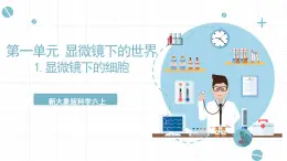 新大象版科學(xué)六上 1.1 《 顯微鏡下的細(xì)胞（含練習(xí)）》課件