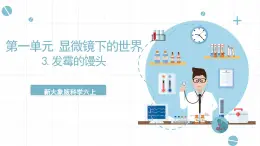 新大象版科學(xué)六上 1.3 《 發(fā)霉的饅頭（含練習(xí)）》課件