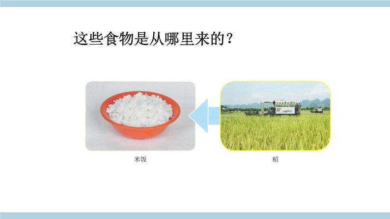 鄂教版科学三年级上册1.《多种多样的食物》ppt课件第7页
