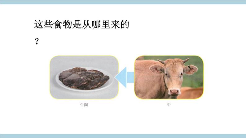 鄂教版科学三年级上册1.《多种多样的食物》ppt课件第8页