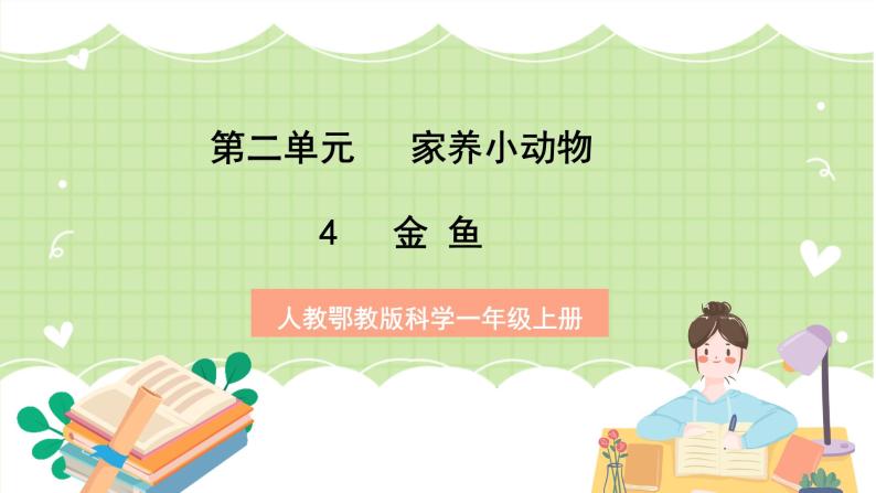 人教鄂教版科学一年级上册4《金鱼》课件+教案01