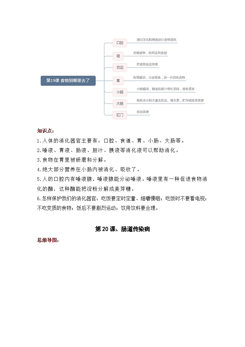 【单元复习讲义】青岛版科学三年级下册-第六单元《消化与呼吸》讲义(知识点总结+思维导图)第2页