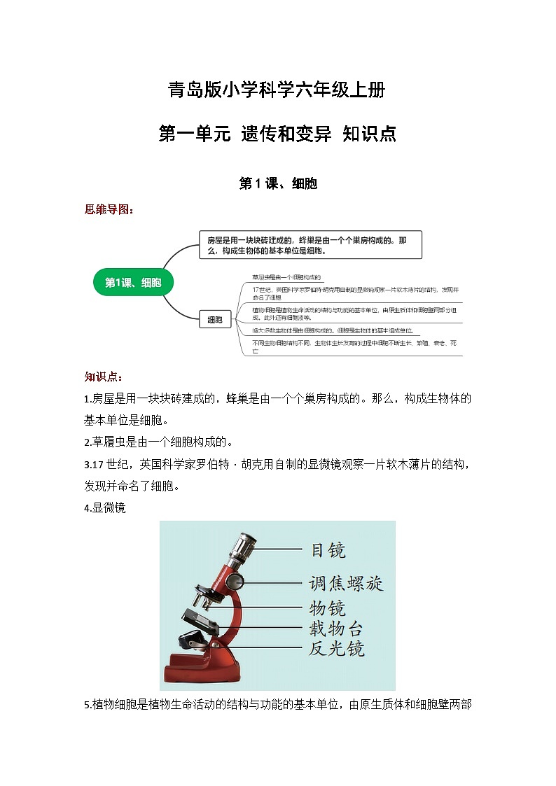 【单元重难点讲义】青岛版科学六年级上册-第一单元《遗传和变异》 知识点整理讲义01
