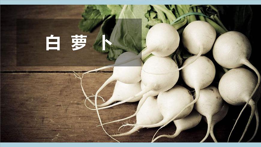 冀人版科學(xué)一年級上冊 2.5《認(rèn)識植物》課件第3頁