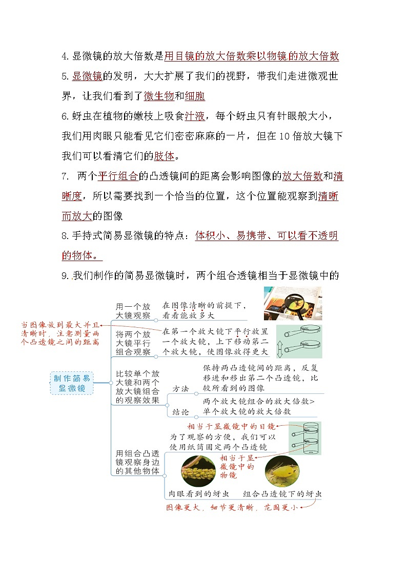 教科版科学六年级上册-第一单元《微小世界》知识点03