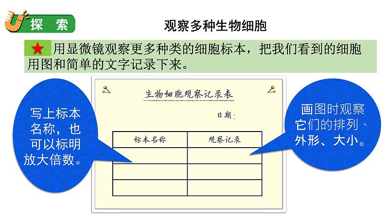 1.5 观察更多的生物细胞(课件+音视频素材)06