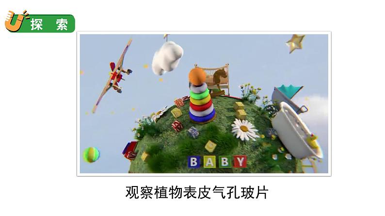 1.5 观察更多的生物细胞(课件+音视频素材)08