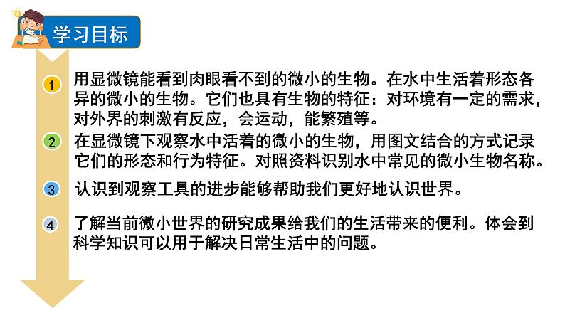 1.6 观察水中微小的生物(课件+音视频素材)02