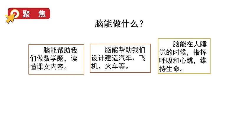 4 身体的“总指挥”第5页
