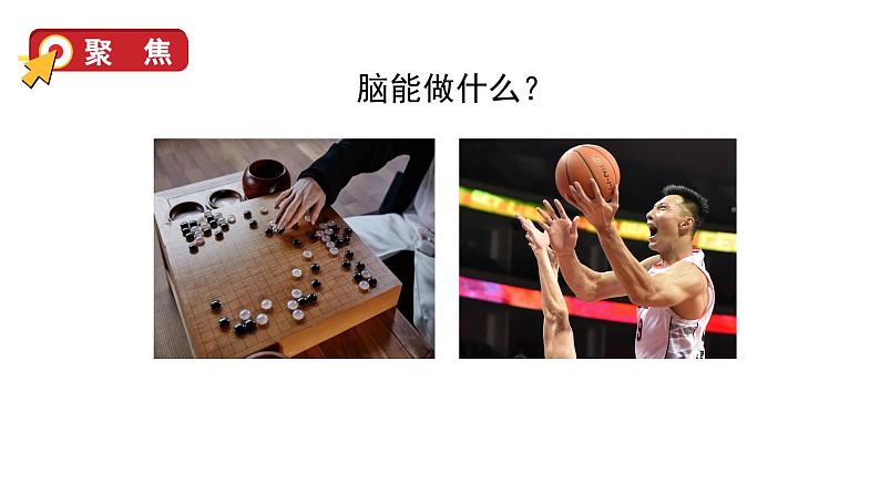 4 身体的“总指挥”第6页