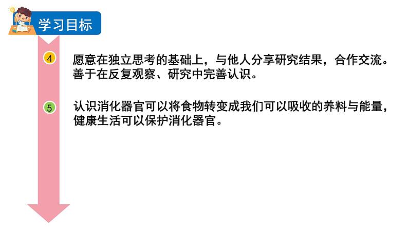8 食物在身体里的旅行第3页