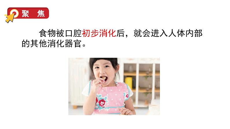 8 食物在身体里的旅行第4页