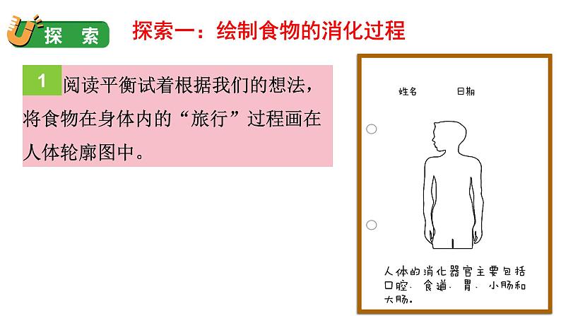 8 食物在身体里的旅行第7页