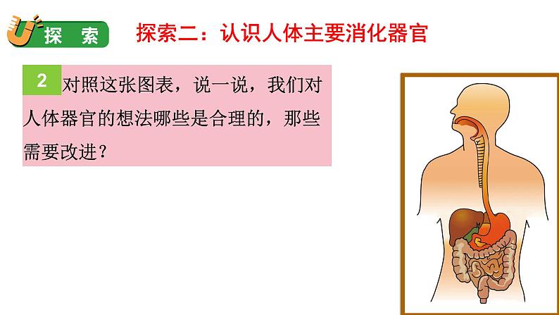 8 食物在身体里的旅行第8页