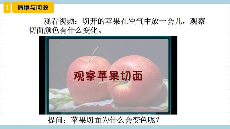 冀人版科学五年级上册 3《精编变色游戏》课件+素材03