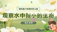 小学科学教科版 (2017)六年级上册6.观察水中微小的生物优秀备课课件ppt