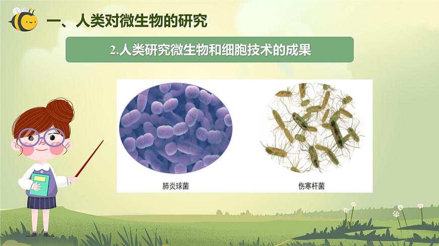1.7 微生物與健康（課件）-2023-2024學年六年級科學上冊同步備課（教科版）第6頁