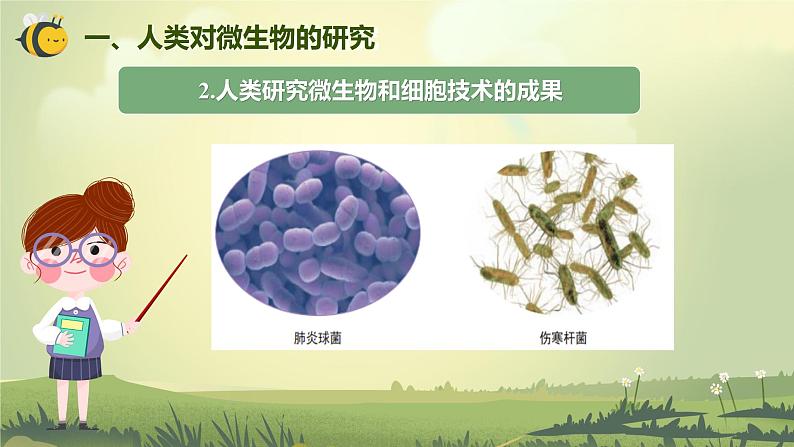 1.7 微生物与健康(课件)-2023-2024学年六年级科学上册同步备课(教科版)第6页