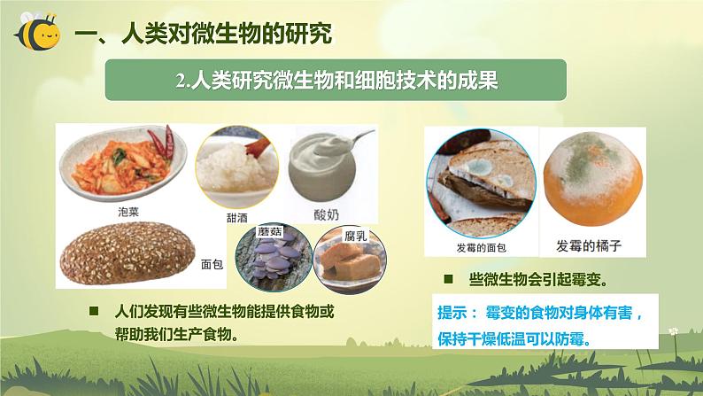 1.7 微生物与健康(课件)-2023-2024学年六年级科学上册同步备课(教科版)第7页