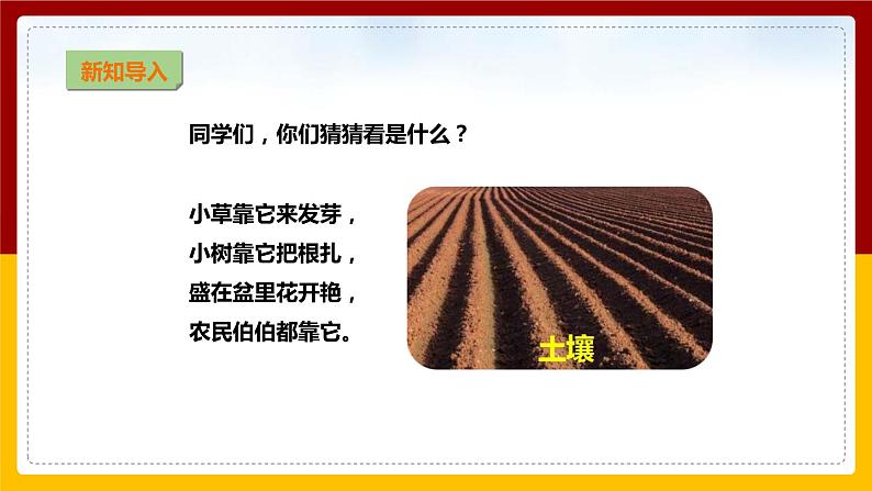 【教科版】科学二上 1.2 《土壤——动植物的乐园》(课件+教案+练习+素材)02