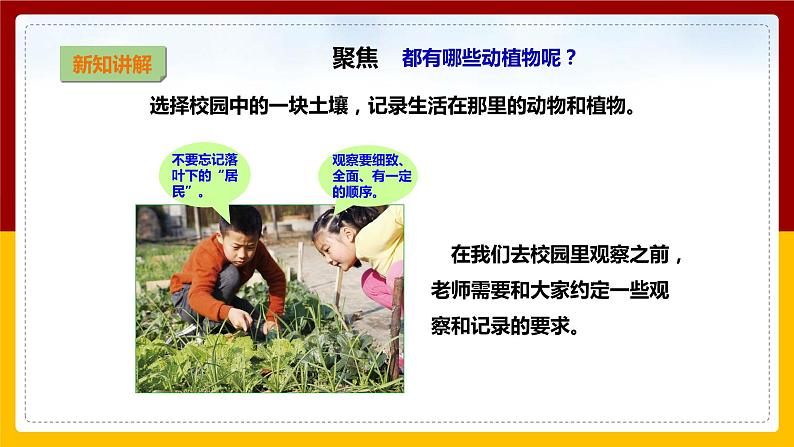 【教科版】科学二上 1.2 《土壤——动植物的乐园》(课件+教案+练习+素材)06