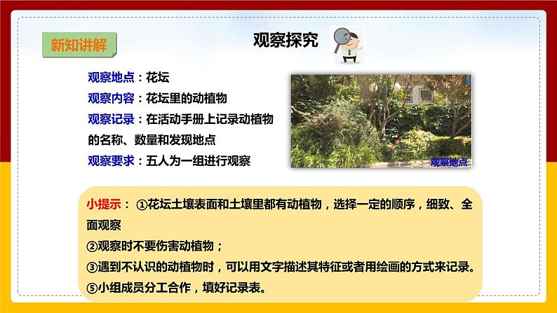【教科版】科学二上 1.2 《土壤——动植物的乐园》(课件+教案+练习+素材)07