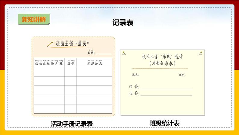【教科版】科学二上 1.2 《土壤——动植物的乐园》(课件+教案+练习+素材)08