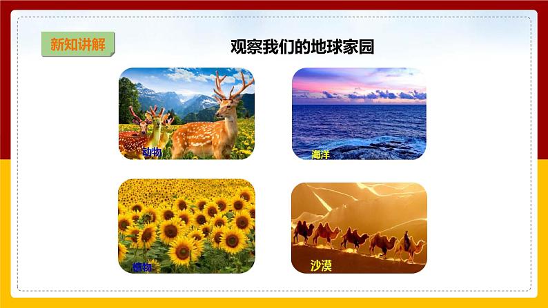 【教科版】科学二上 1.1 《地球家园中有什么》(课件+教案+练习+素材)05