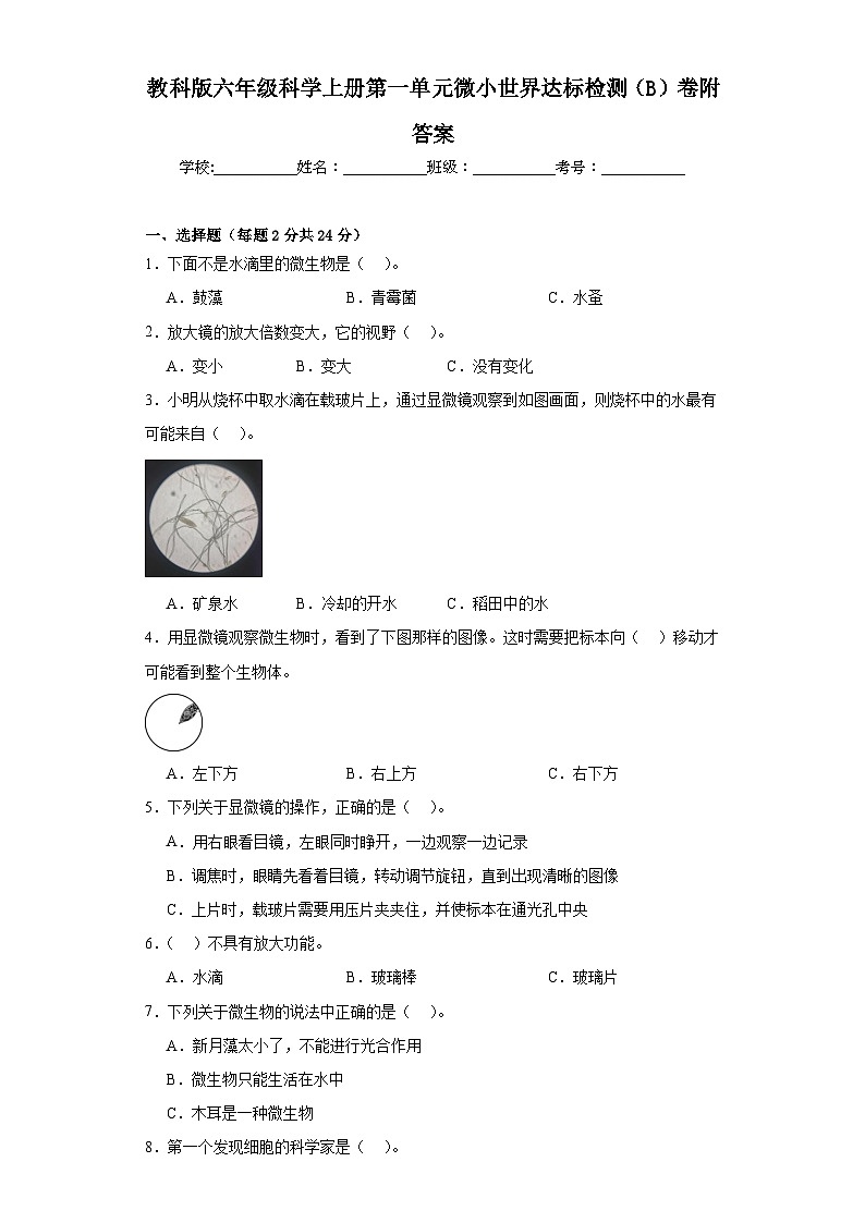 教科版六年级科学上册第一单元微小世界达标检测(B)卷附答案01