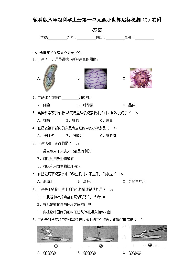 教科版六年级科学上册第一单元微小世界达标检测(C)卷附答案01