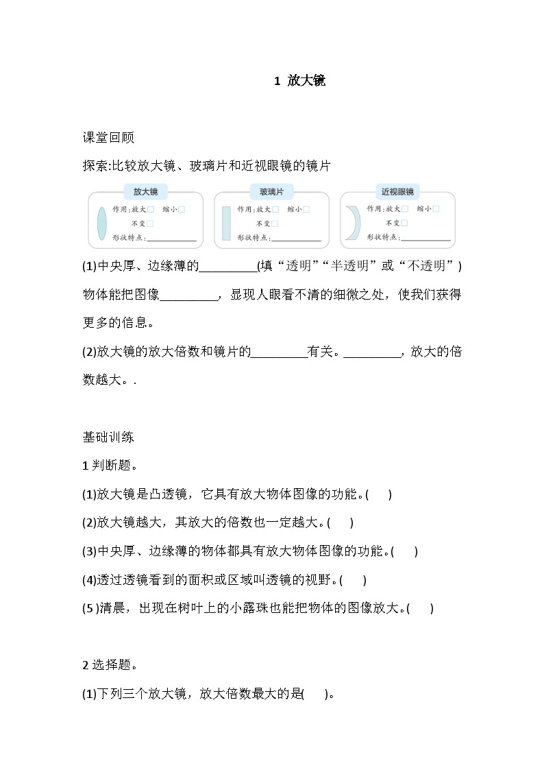 1.1 放大镜 课时练（含答案）01