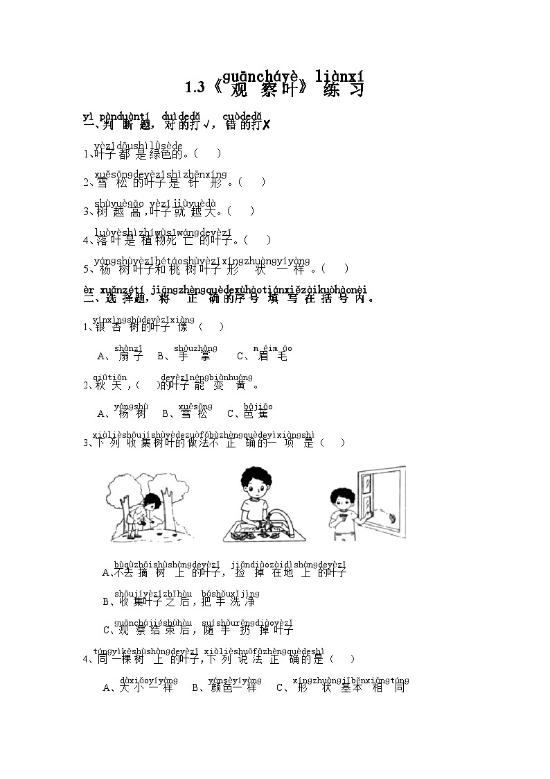 1.3观察叶(同步练习)一年级上册科学教科版01