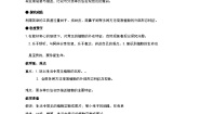 科学一年级上册2.观察一颗植物教案