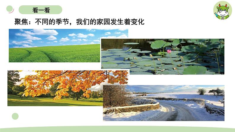 小学科学教科版二年级上册第一单元6《不同的季节》教学课件(2023秋新课标版)第2页