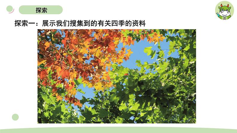 小学科学教科版二年级上册第一单元6《不同的季节》教学课件(2023秋新课标版)第3页