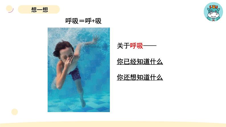 小学科学教科版四年级上册第二单元1感受我们的呼吸教学课件(2023秋新课标版)02