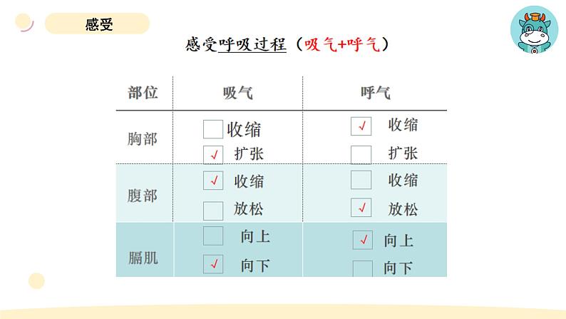 小学科学教科版四年级上册第二单元1感受我们的呼吸教学课件(2023秋新课标版)06
