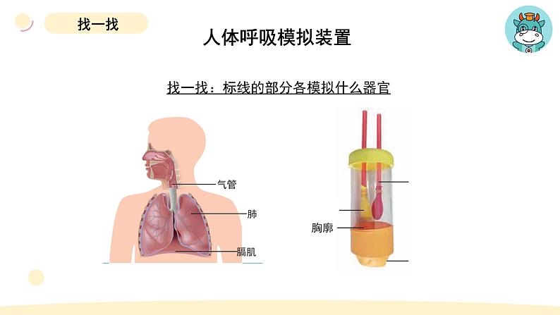 小学科学教科版四年级上册第二单元1感受我们的呼吸教学课件(2023秋新课标版)07