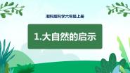 科学六年级上册1 大自然的启示示范课课件ppt